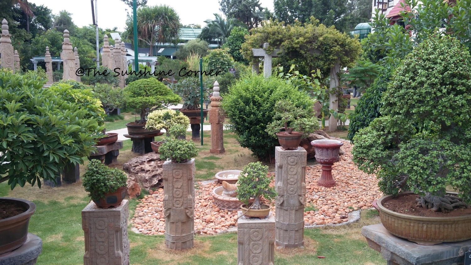 The Sunshine Corner A stroll through Shuka Vana, Mysore