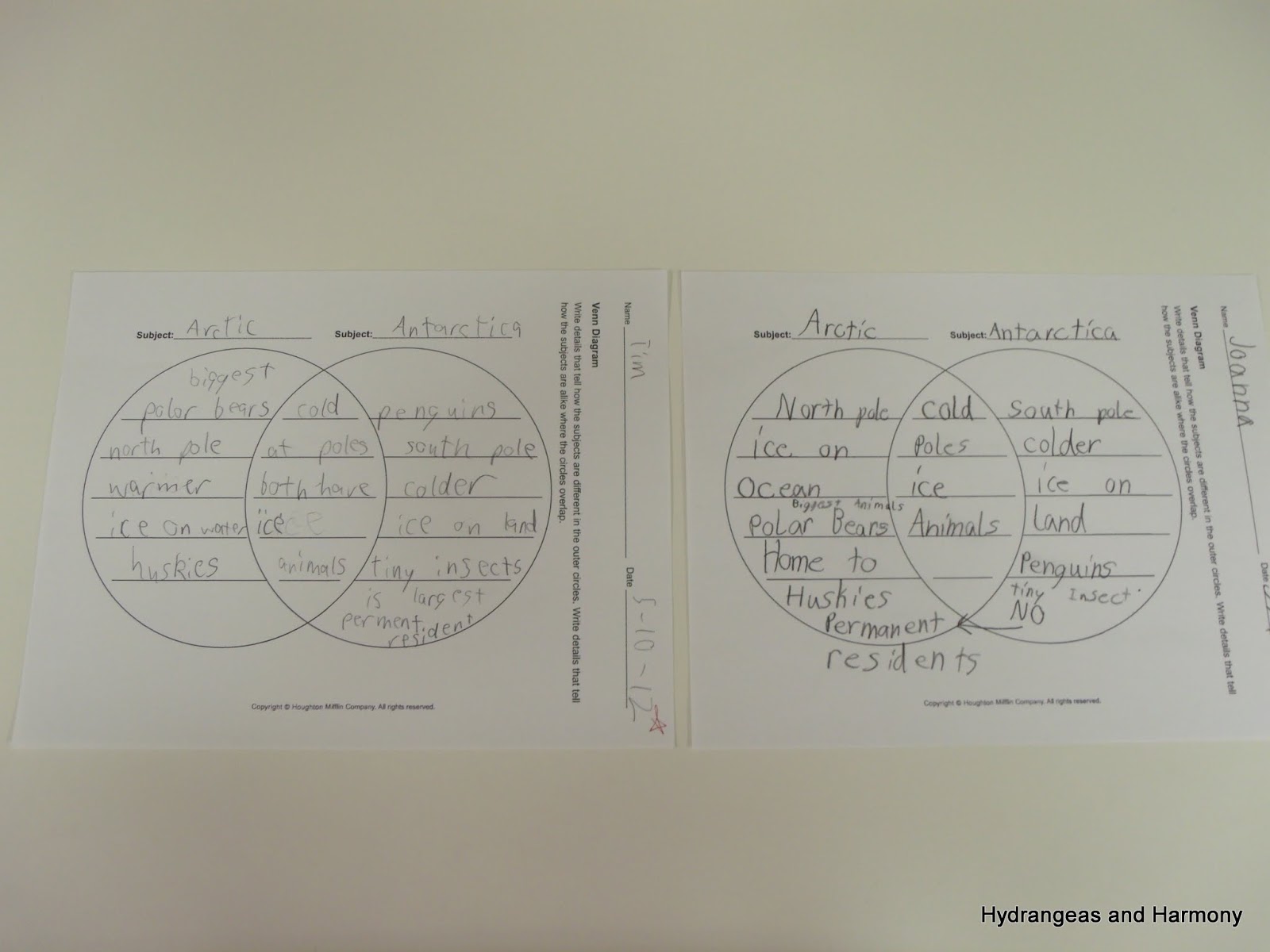 Hydrangeas and Harmony: Weekly School Summaries - Antarctica (May 7-18)