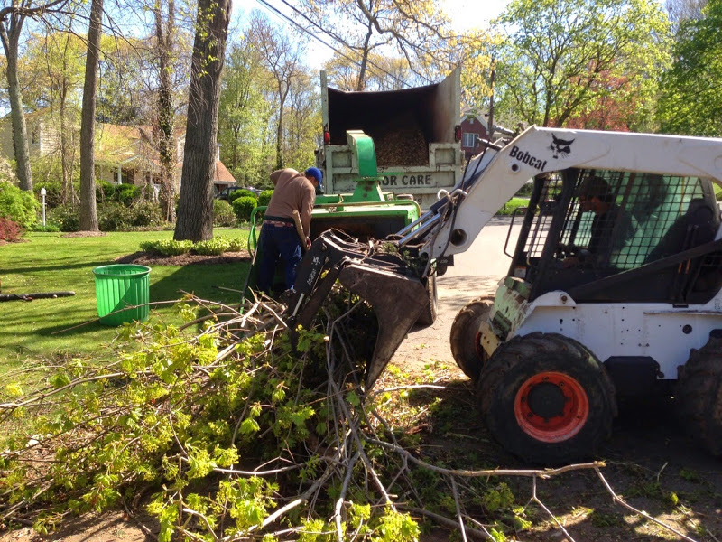 Tree Removal Long Island Land Clearing services LI Lumber Jack