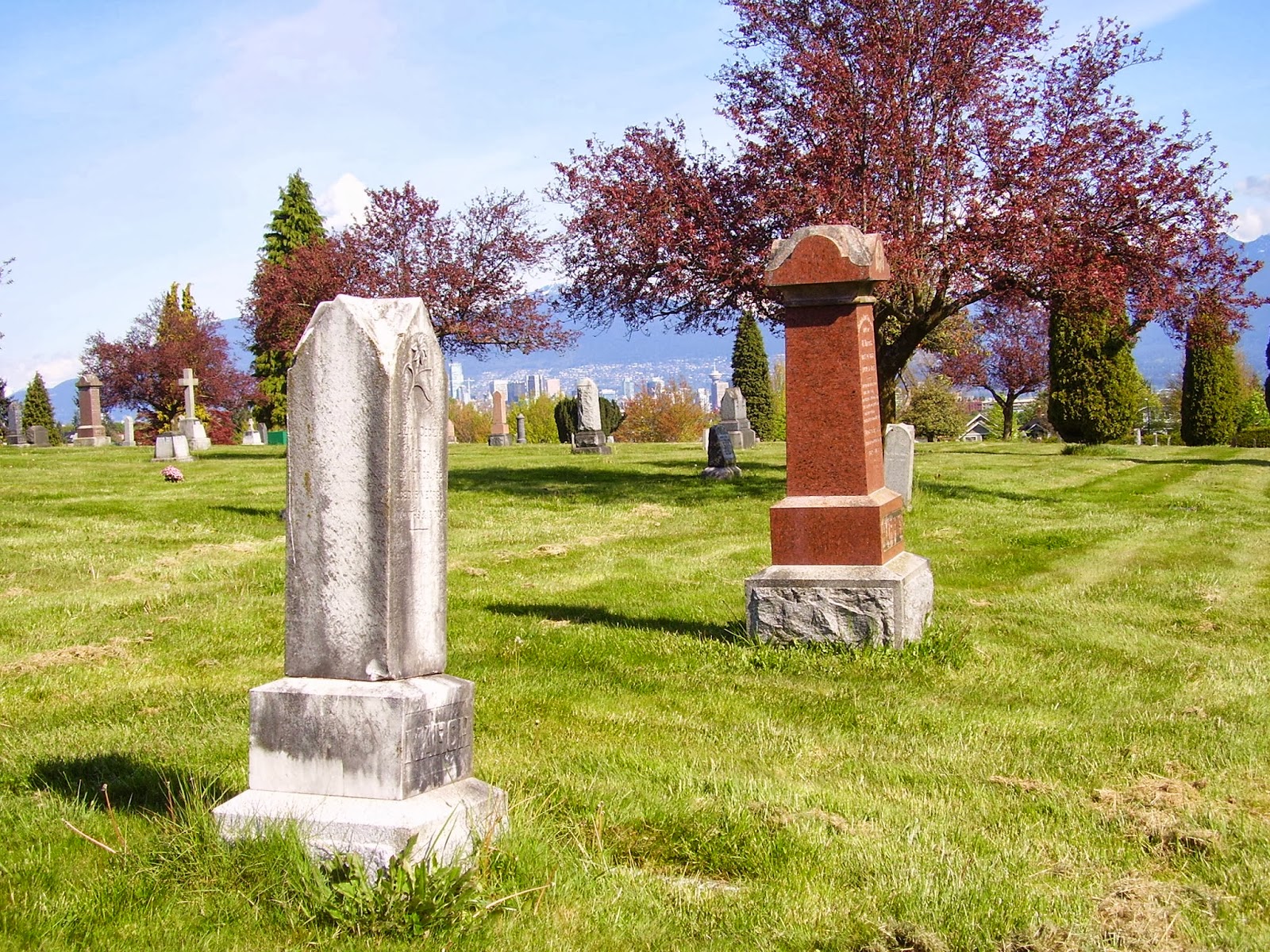 The Graveyard Rabbit of British Columbia, Canada Oct 26 Nov 1, 2013