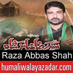 https://www.humaliwalayazadar.com/2012/11/raza-abbas-shah-nohay-2001-2013.html