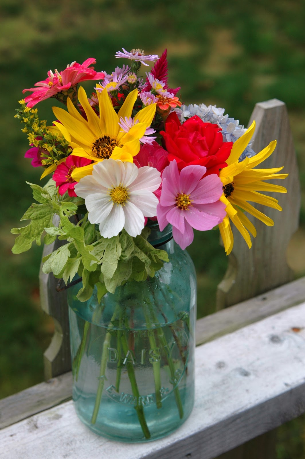 deborah jean's DANDELION HOUSE and GARDEN Get the Dirt Soil Tips for