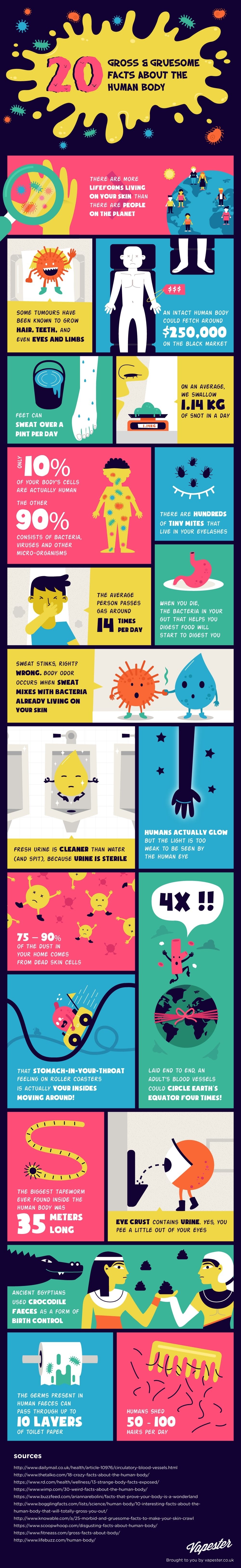 20 Gross & Gruesome Facts About The Human Body #Infographic #Facts #HumanBody 20 Gross & Gruesome Facts About The Human Body