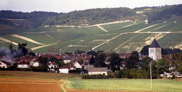 Champagne region