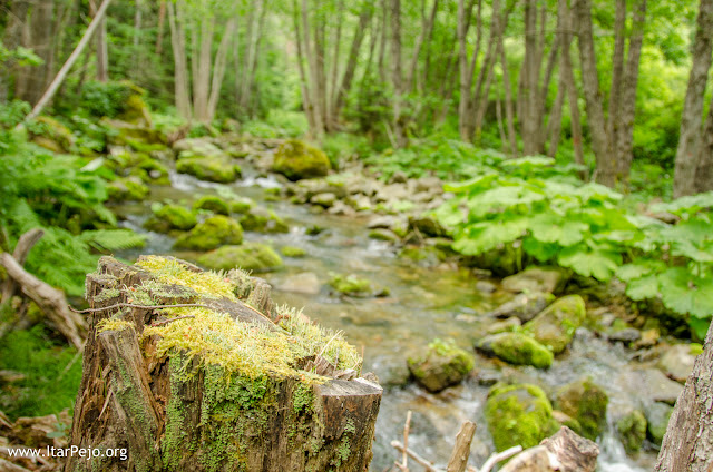 Gradeshka River, Mariovo Region, Novaci Municipality, Macedonia