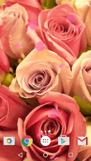गुलाब का फूल डाउनलोड, गुलाब का फूल फोटो डाउनलोड, गुलाब शायरी, दिल के फोटो, गुलाब फूल की खेती, गुलाब के फूल के उपयोग, फूल गुलाब, कमल के फूल