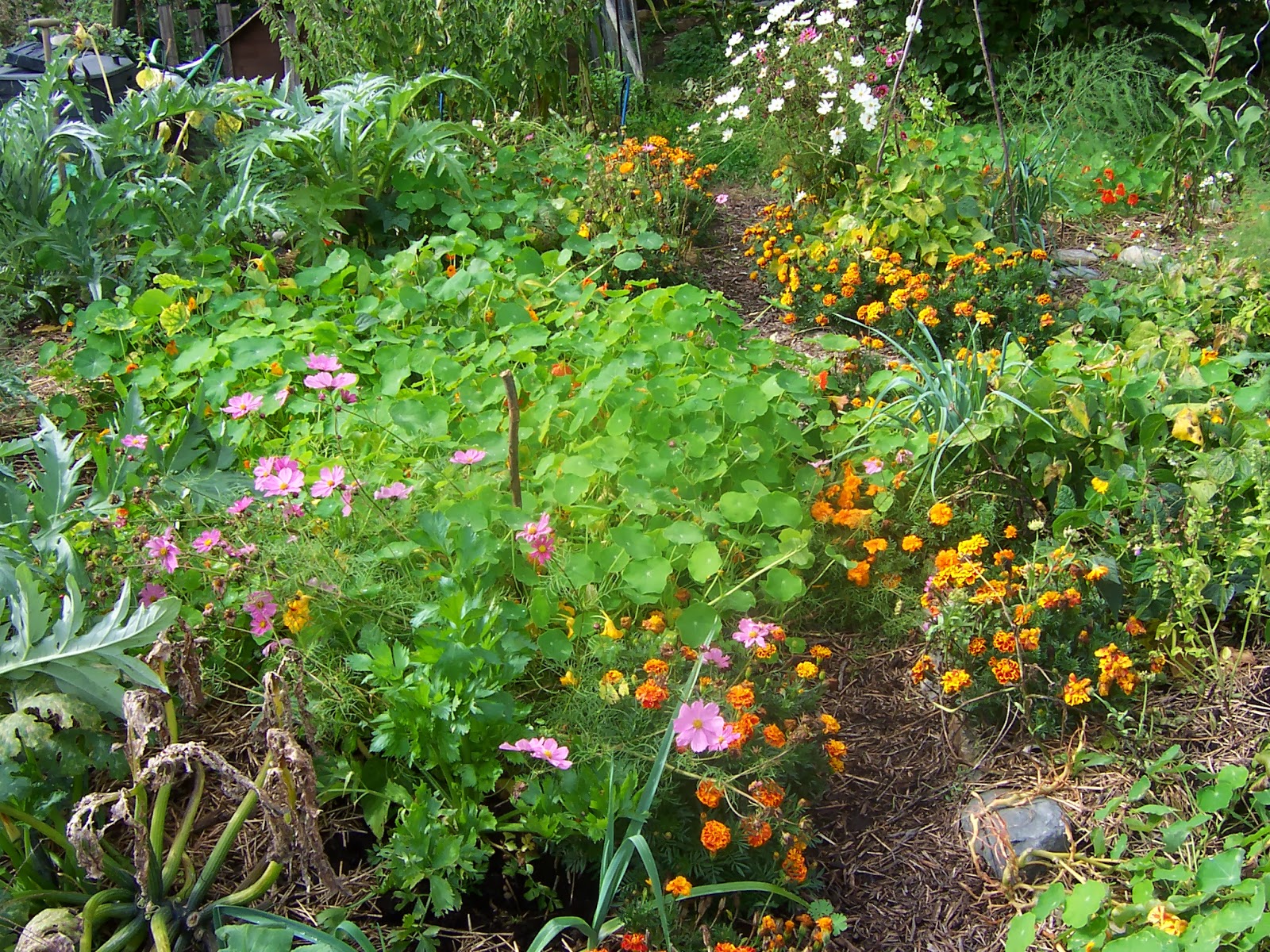 Permaculture France: Jardin Mandala