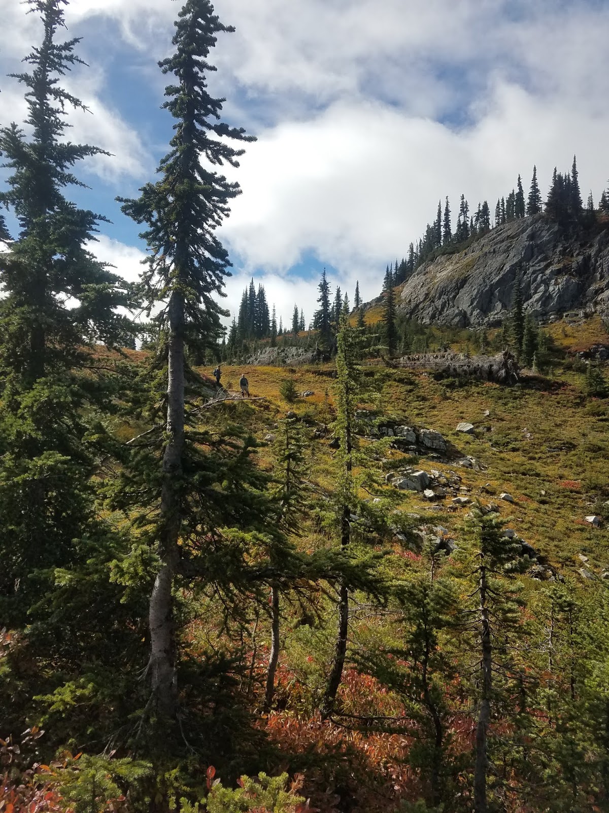 More Life, Less Waste Mad Things Rearrange