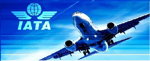 International Air Transportation Association  (IATA)