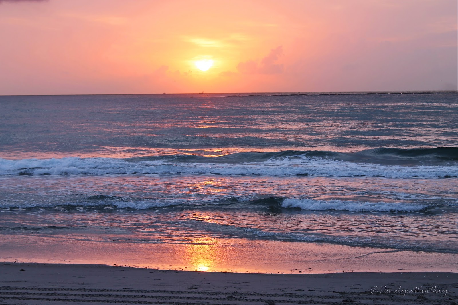 Traveling with Penelope Beaches in Boca Raton, Florida