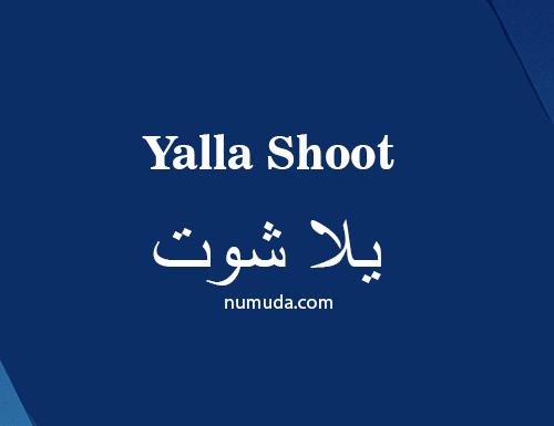 ysalla shoot tv