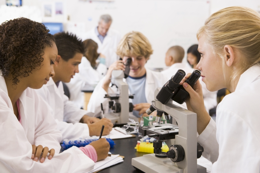 The Science Experience