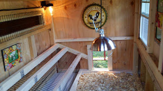 Custom Coop