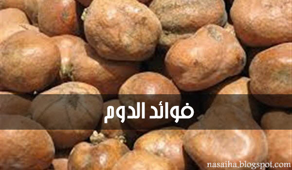 يافتللللت: فوائد الدوم