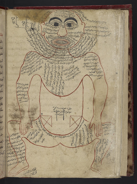 facsimilium: “Tashrih al-badan” (Anatomy of the body, 14th Century)