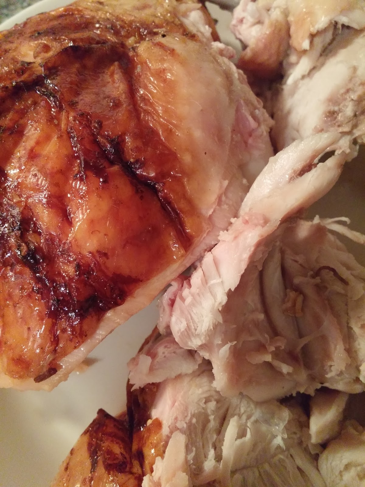 Brown bagroasted turkey