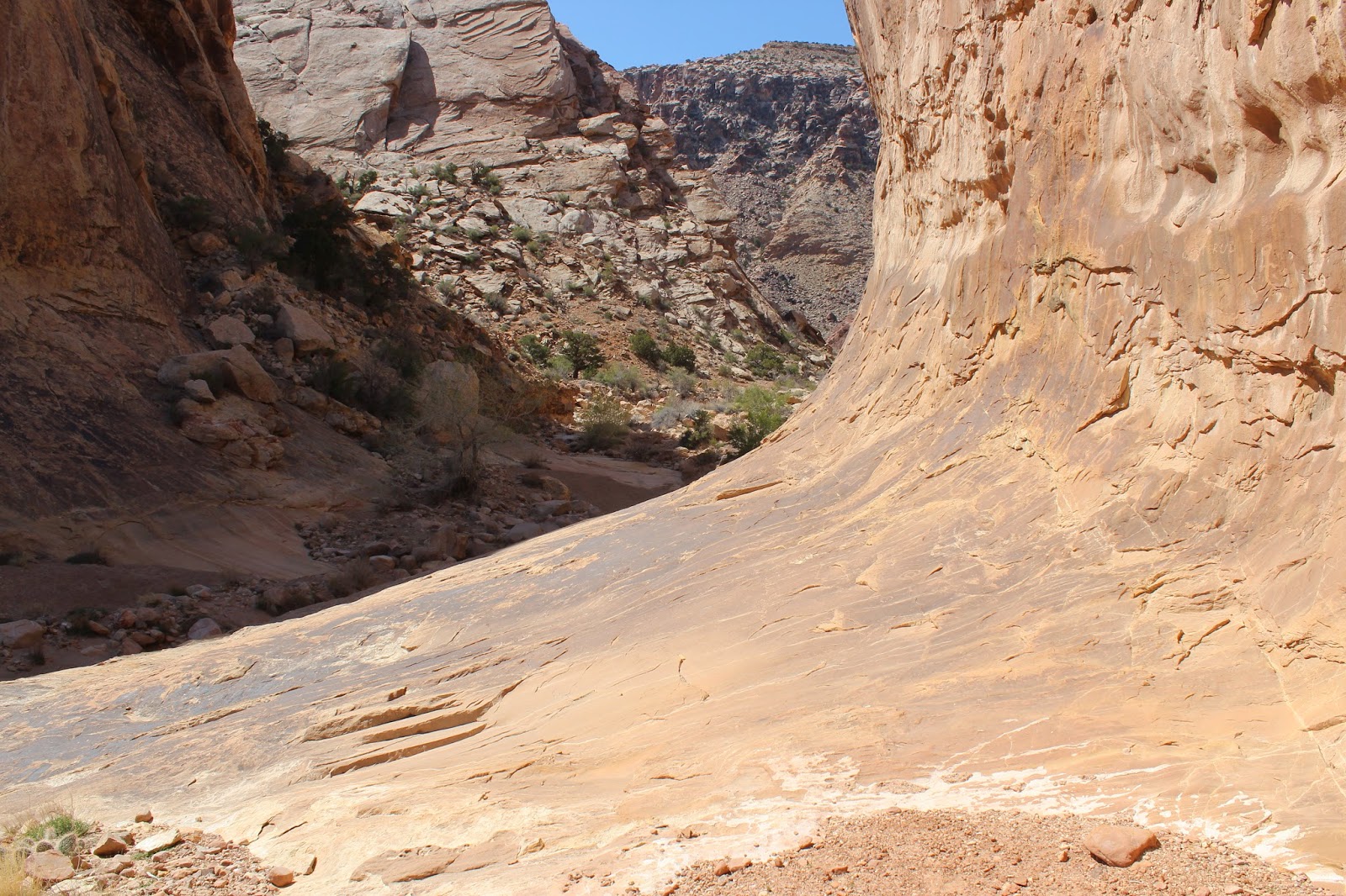 Three Finger Canyon Petroglyphs