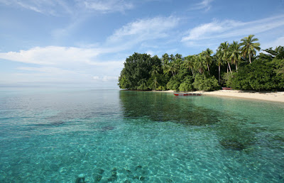 Taman Nasional Teluk Cenderawasih (TNTC) Taman Nasional Teluk Cenderawasih (TNTC)