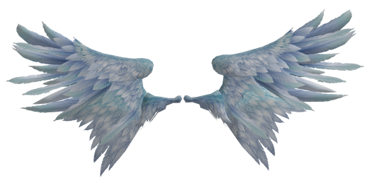 Real Editors : Bird Wings Png