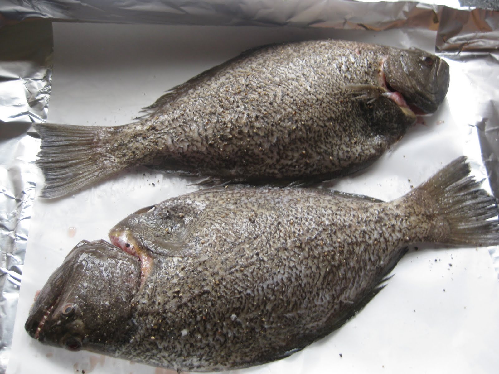 Food Lust People Love Flounder (or Lemon Sole)