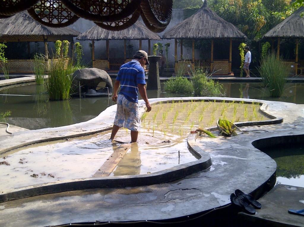 Rumah Makan Wulan Sari Bekasi Barat Info Terkait Rumah