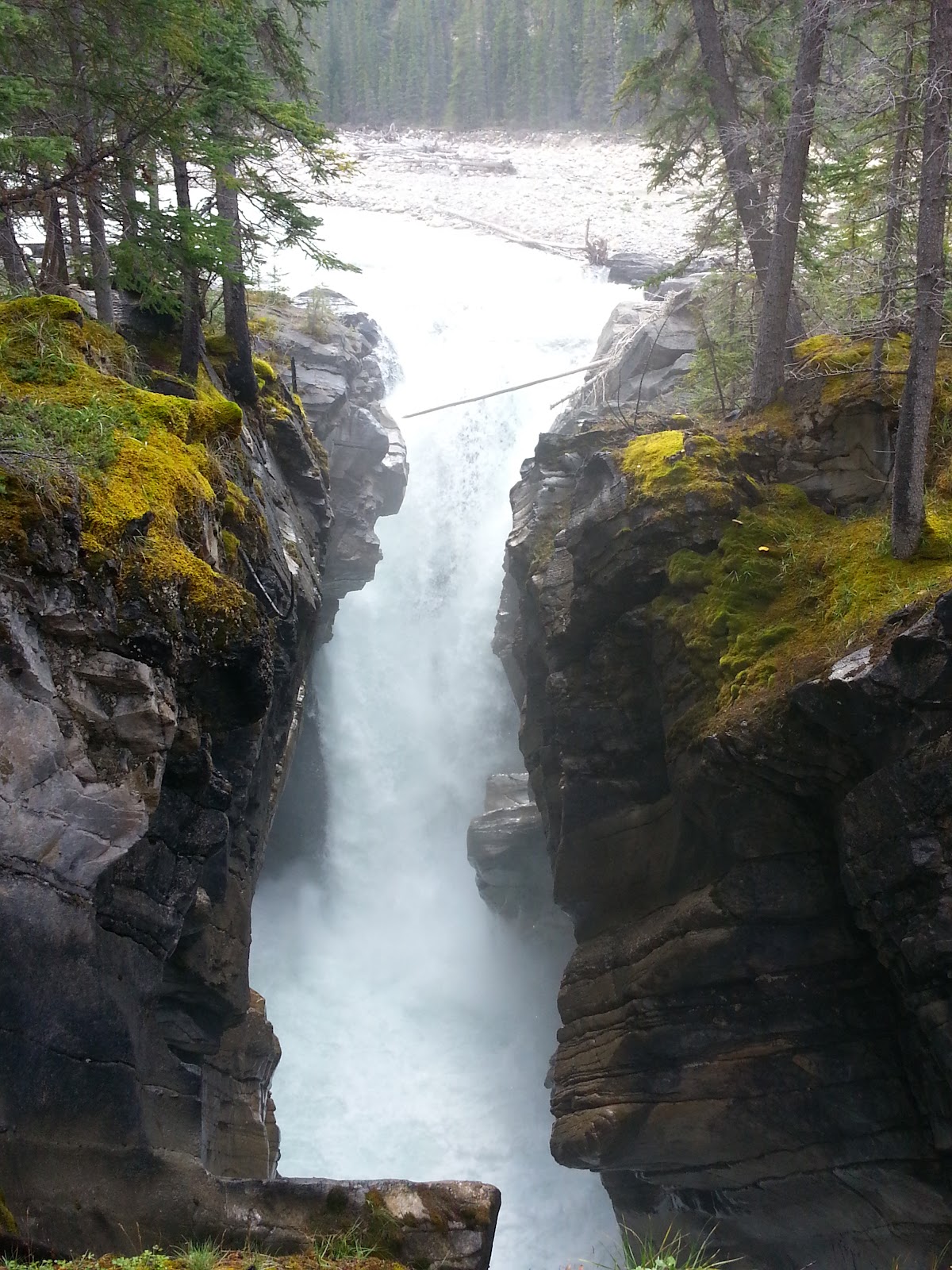 Siffleur Falls Trail, David Thompson Corridor Play Outside Guide