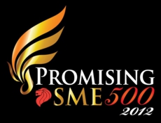 Promising SME 500 2012