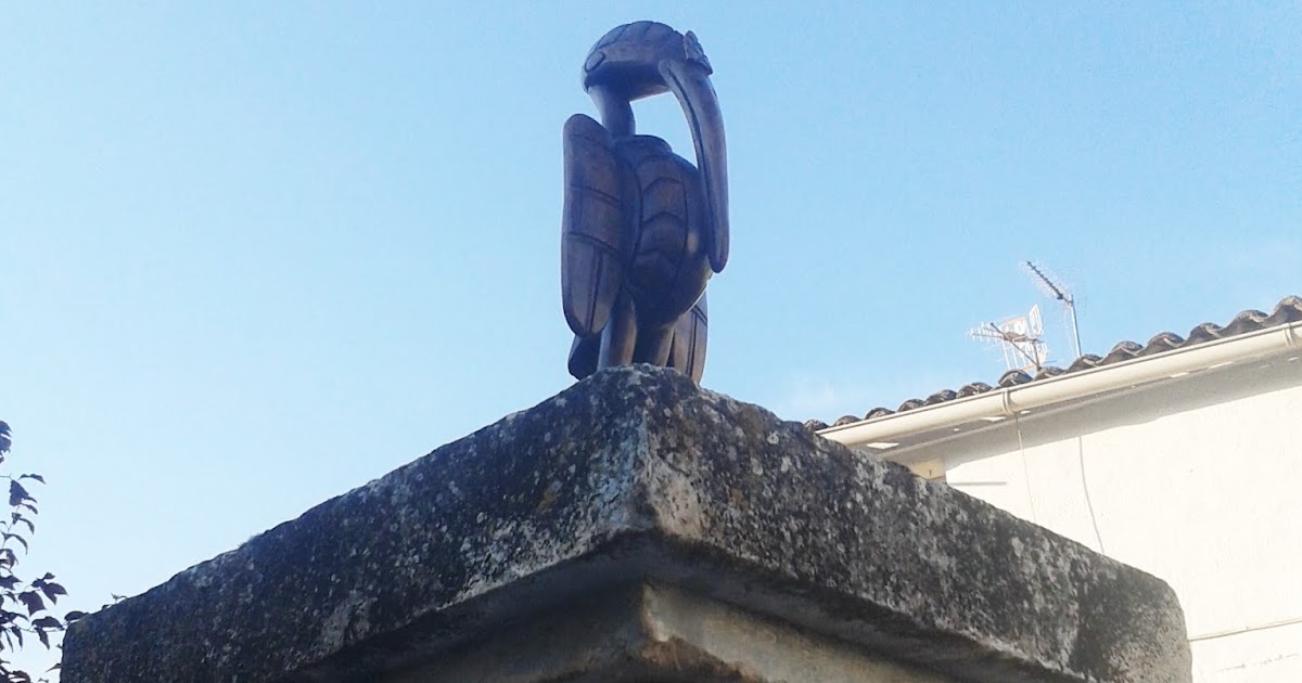 PAJARONEROS UN PAJARÓN AFRICANO