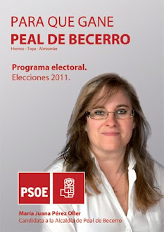 Quieres conocer el Programa electoral del PSOE