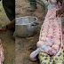 Ular Dituduh Makan Sapi Malah Jadi Makanan Manusia
