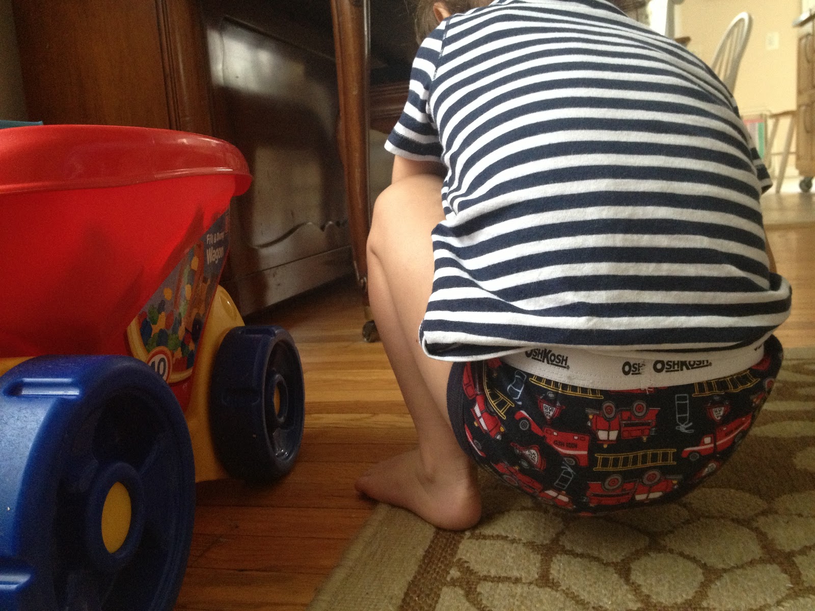 A Harmonious Combination potty training...for real this time.