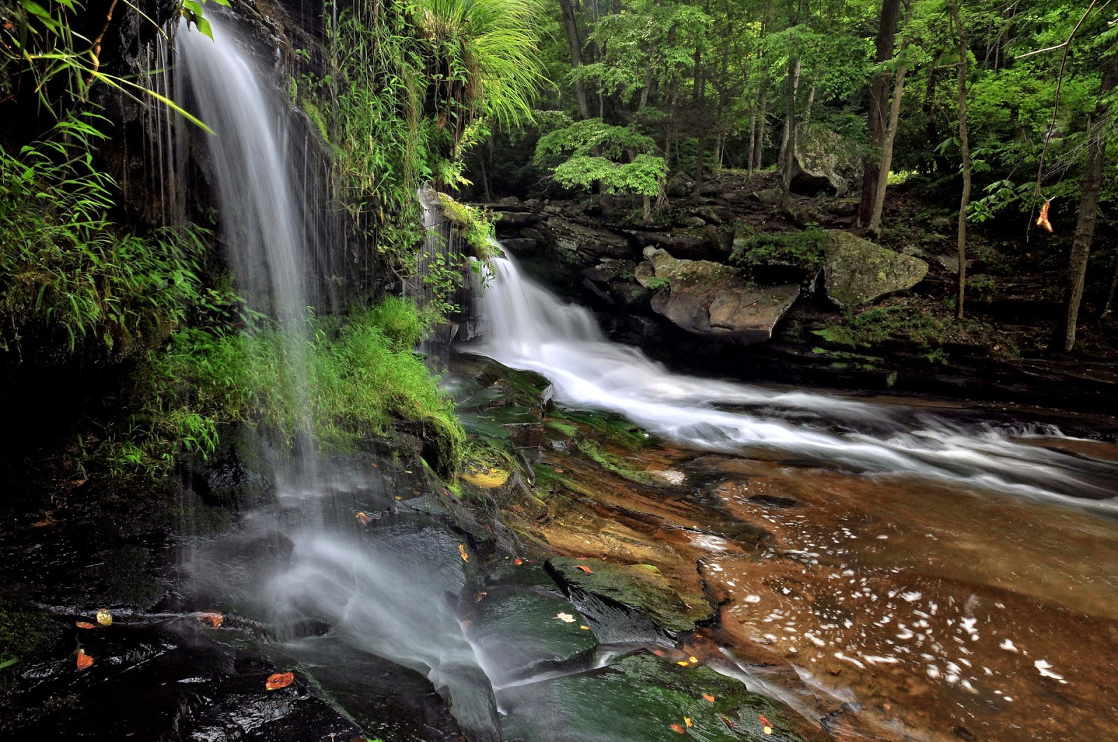 Discover West Virginia Dunloup Creek Falls
