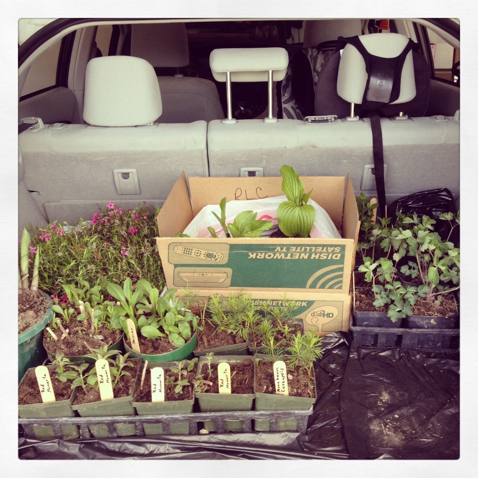 Installing A New Flower Bed Emily Ann Interiors