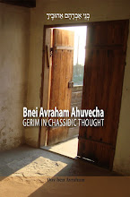 Bnei Avraham Ahuvecha: Gerim in Chassidic Thought
