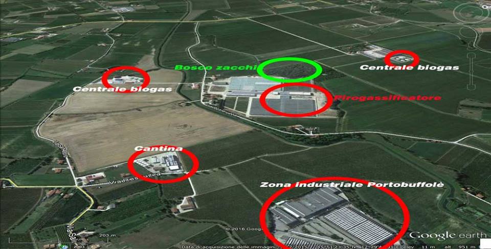 Codognè in Movimento 2016