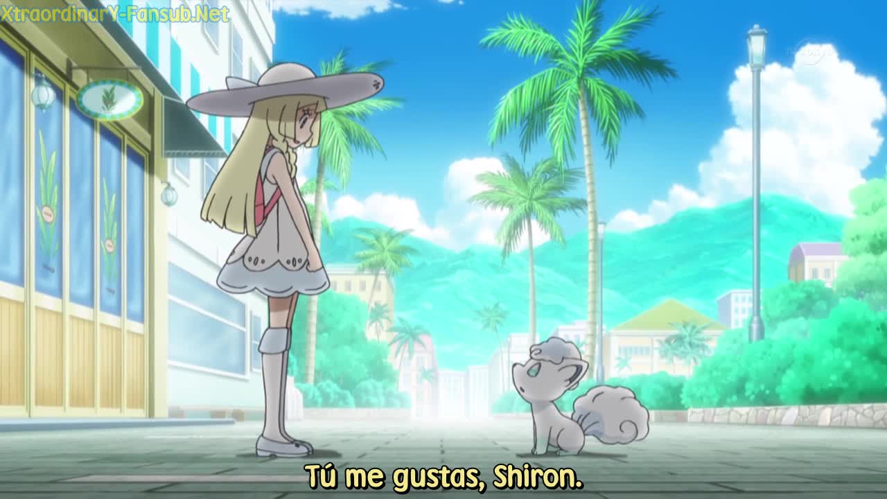 Ver Pokemon Sun & Moon Temporada 20 - Capítulo 14