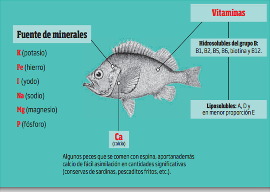 Nuggets Fish Nuggets Fish