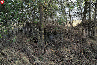 Второй кайзеровский бункер у деревни Задворье. Руины