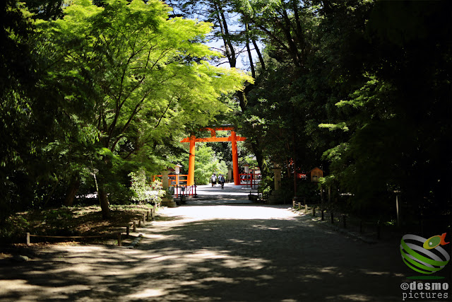 京都～下鴨神社