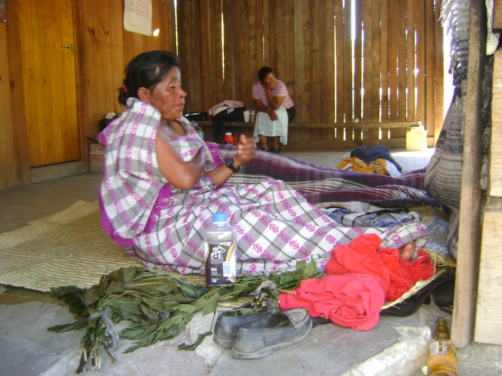 Corresponsales Indígenas: Beneficia el baño de Temascal la salud de las ...