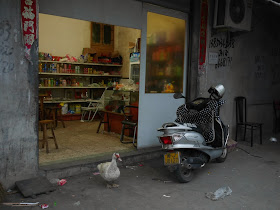 duck standing in front of the entrance to a convenience store in Xiapu, Fujian, China
