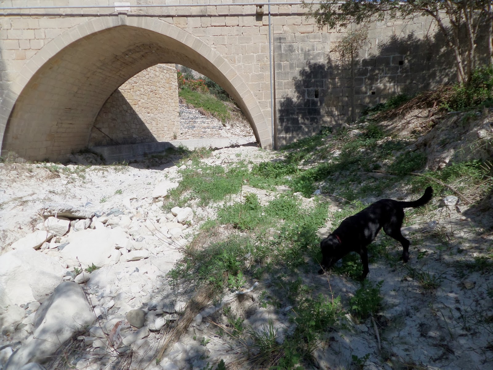 Travel Cyprus With Your Dog Discover Neolithic Cyprus...with your dog