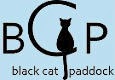 Black Cat Paddock