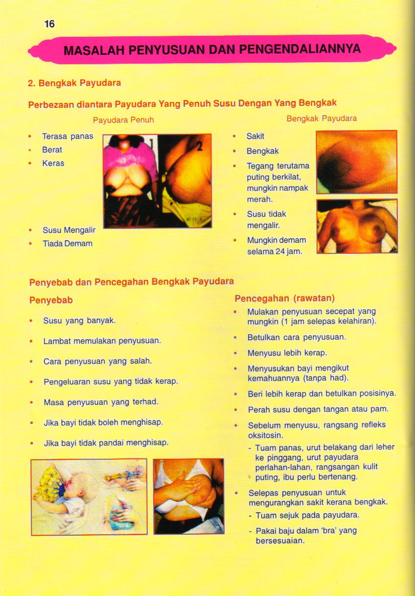 MeaNing Of LoVe Penyusuan Susu Ibu