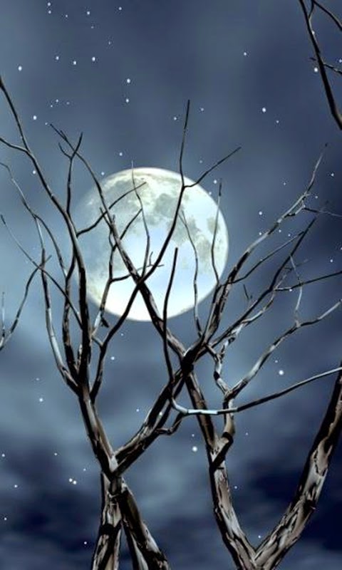 Beautiful wallpaper for Nokia X Phone ~ Charming collection of Photos