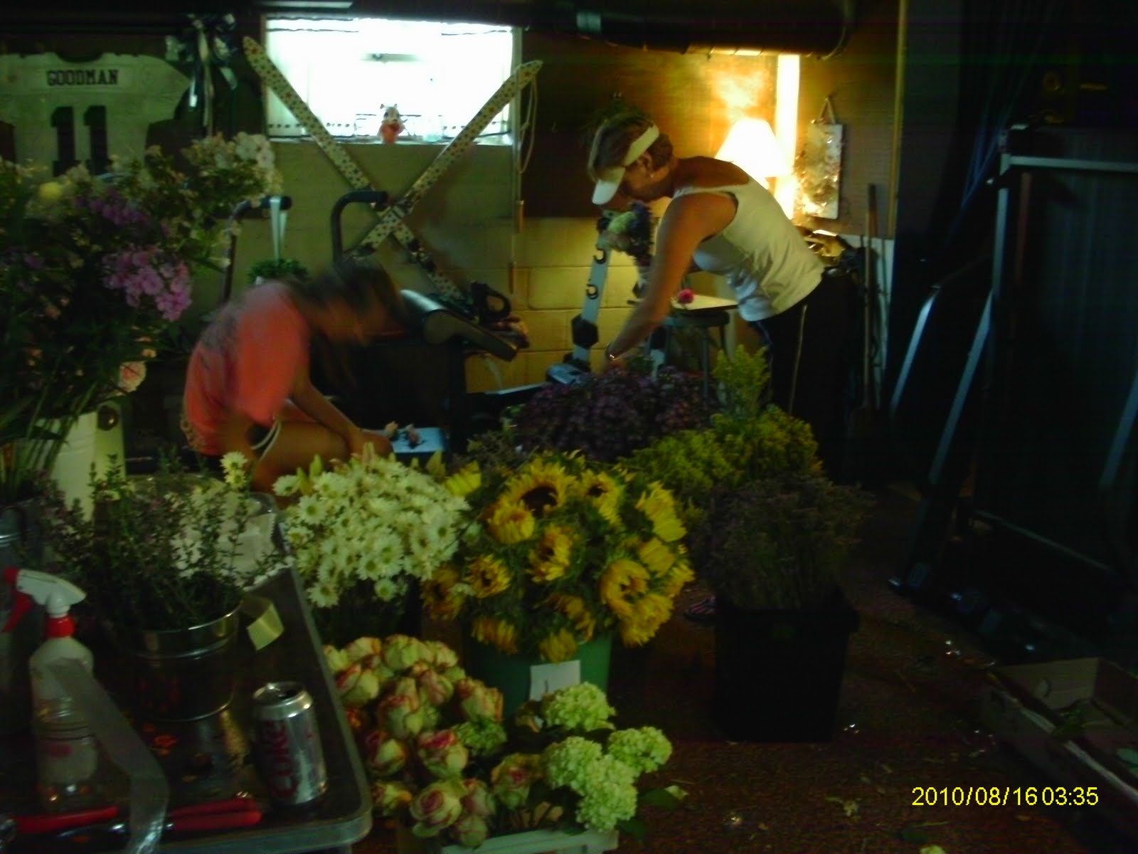 Oakton House and Gardens