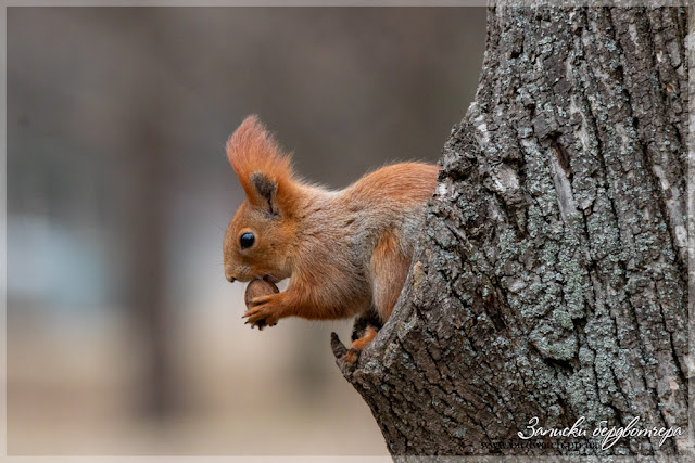 IMG_5773-1.jpg IMG_5773-1.jpg