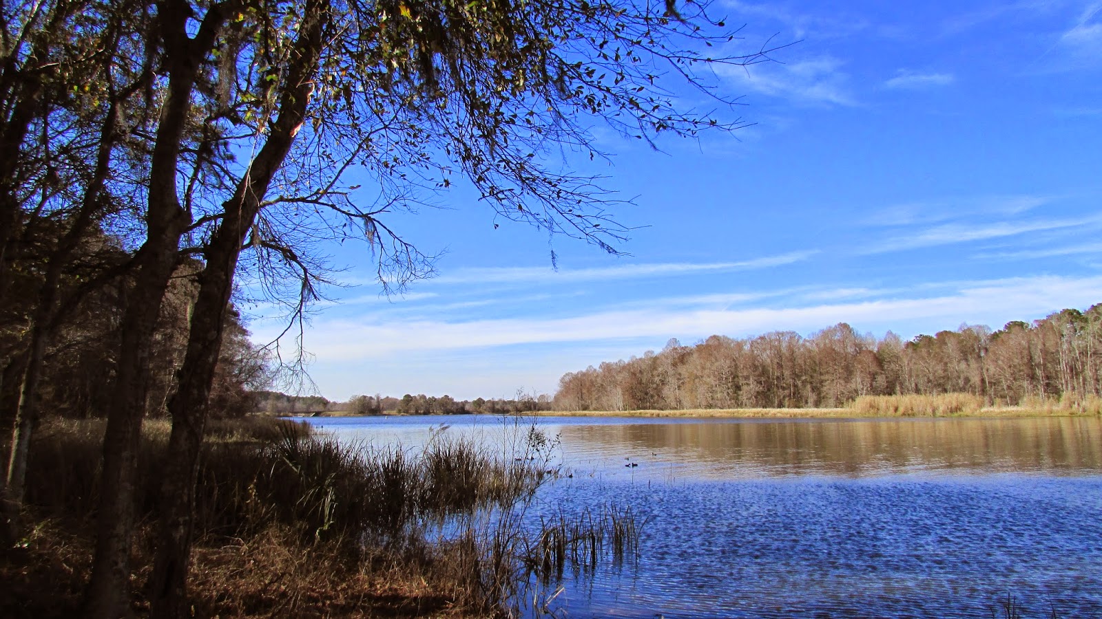 Adventures Of Toaster: Three Rivers State Park: Our Second Visit