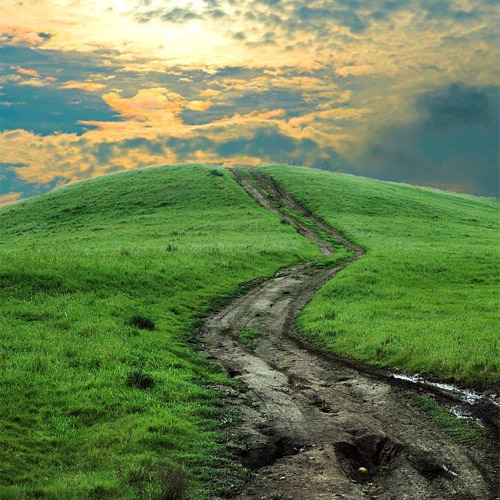 Rüyada Patika Yol Görmek - Rüya Tabirleri ve Yorumları