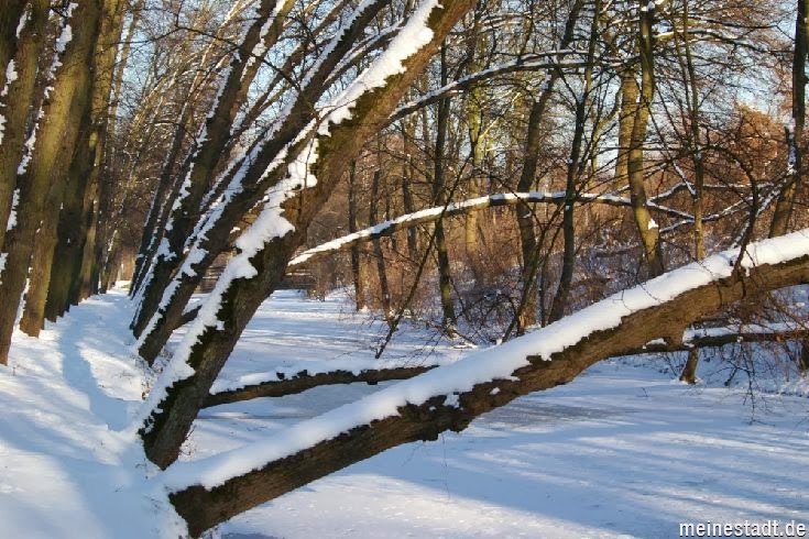 <<<---Der Schlossgraben im Winter--->>>